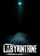 Image result for labyrinthine